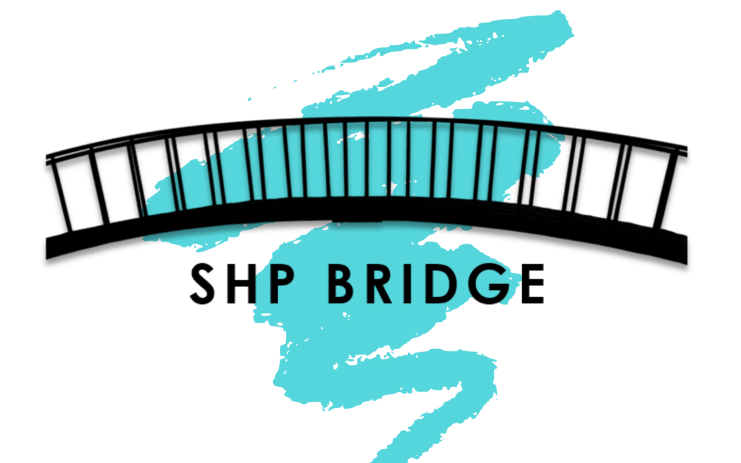 SHP Bridge