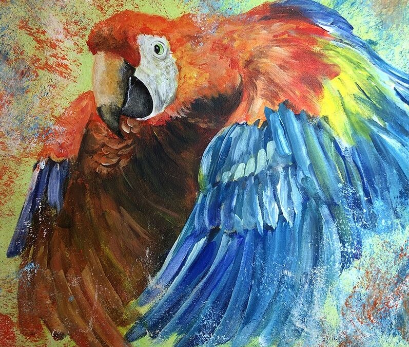 Get Confident With Colour