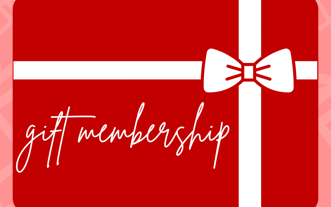 November Newsletter 2024